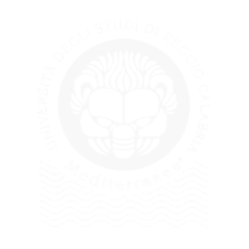 università reggio calabria
